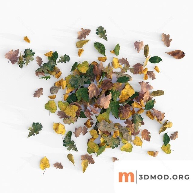 Autumn Leaves