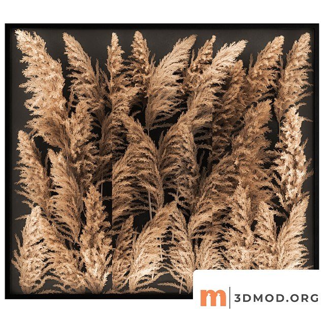 Phytostena of dried flowers behind glass made of reeds, pampas grass, wall decoration made of cortaderia. 258.