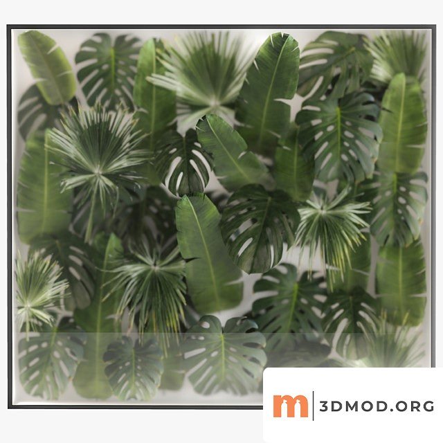 Phytowall and Phytobox Made of Banana Palm Branches and Fan Palm Leaves in a Niche Behind a Translucent Stack Bouquet 287