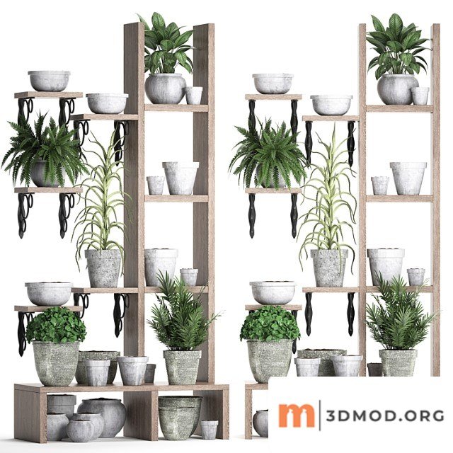 Plant collection 365. shelf with plants, aloe, flowerpot, greenery, vertical garden, concrete, eco design 2