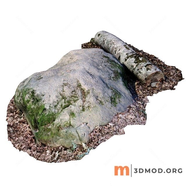 Stone With A Log
