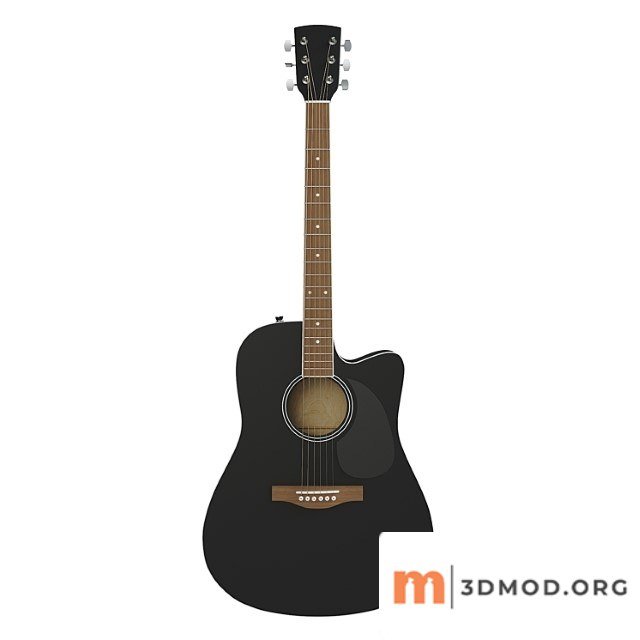 Acoustic Guitar 9