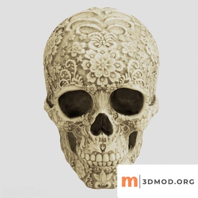 Art Skull