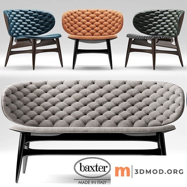 Baxter Dalma 01