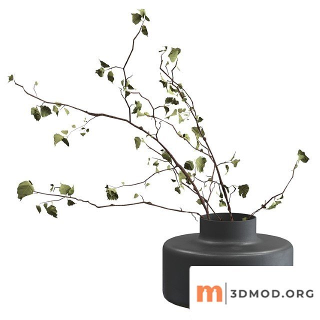 Bouquet of branches 5