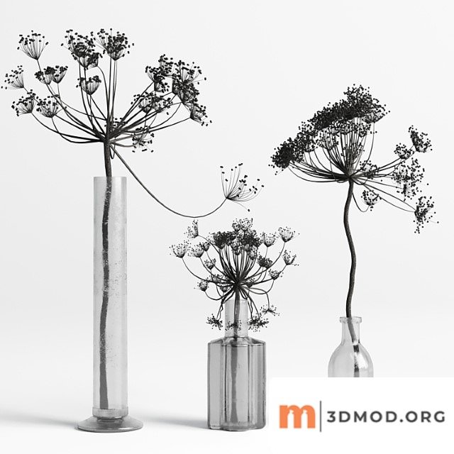 Bouquet set 01 vase glass dry hogweed