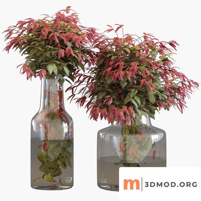 Branches in Vases 1
