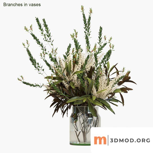 Branches in Vases 3