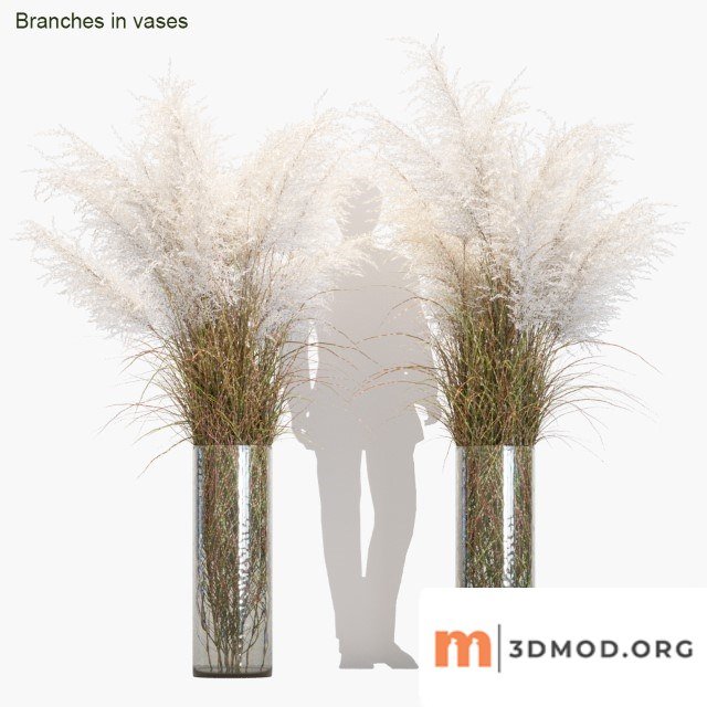 Branches in Vases 5