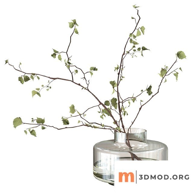 Branches in a vase