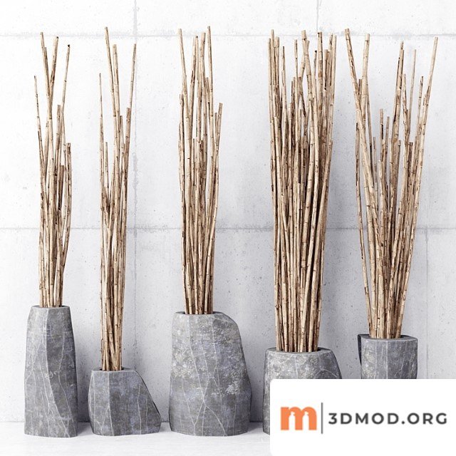 Branches in vases