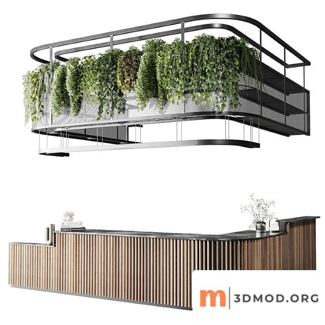 Coffee Shop Reception Restaurant Counter by Hanging Plant 03