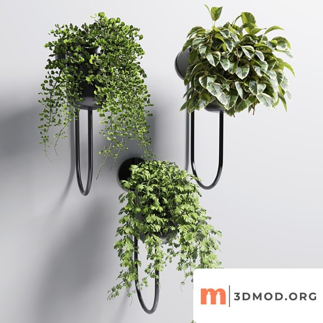 Collection indoor plant 101 vase metal stand wall plant