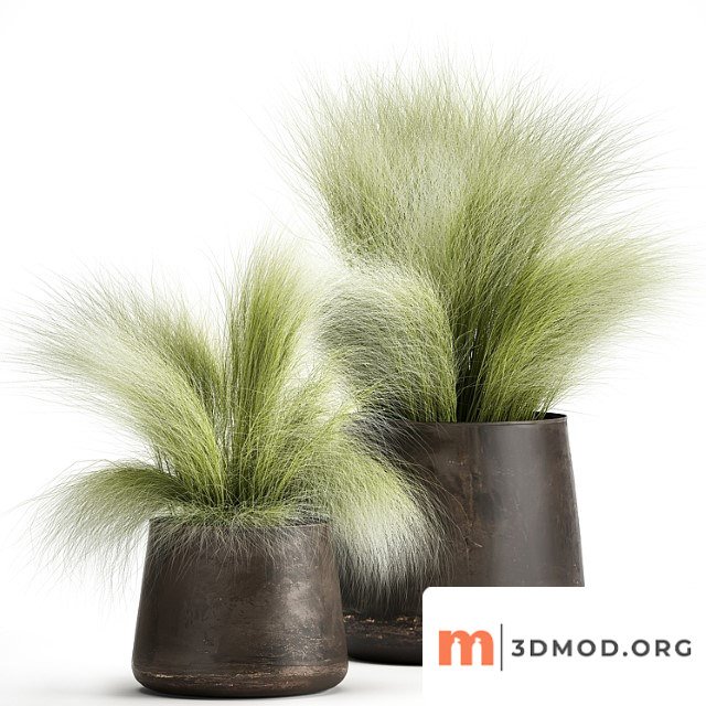 Collection of plants of fluffy bushes in outdoor pots grass grass, hummock. set 908.