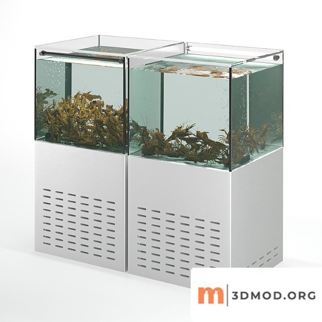 Crayfish aquarium