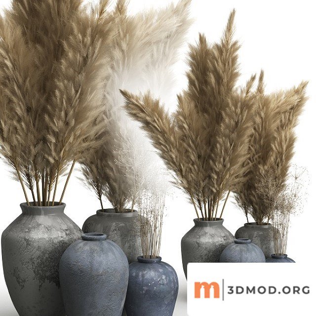 Decorative Set of Clay Vases and Pampas Grass