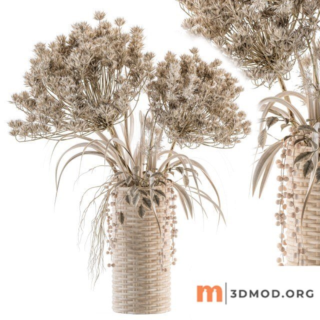 Dry Plants 22