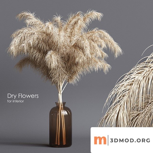 Dry flowers 03