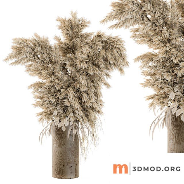 Dry plants 19