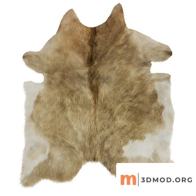 European Rug Cowhide 13