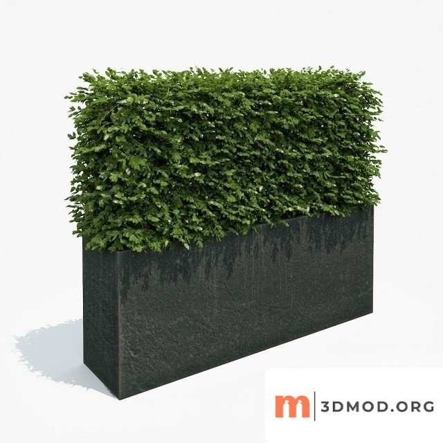 Fence Potted Plants