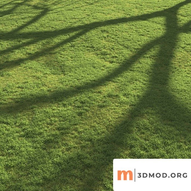 Flat grass