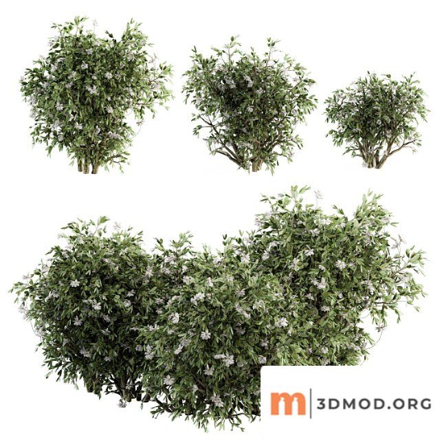 Flower bush - bush set 15