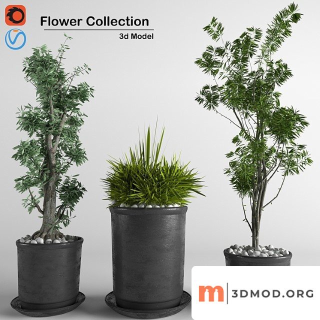 Flower collection 3p