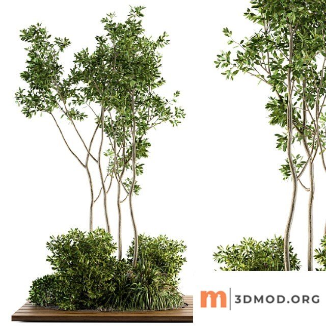 Garden Set Bush And Tree Garden Set 04
