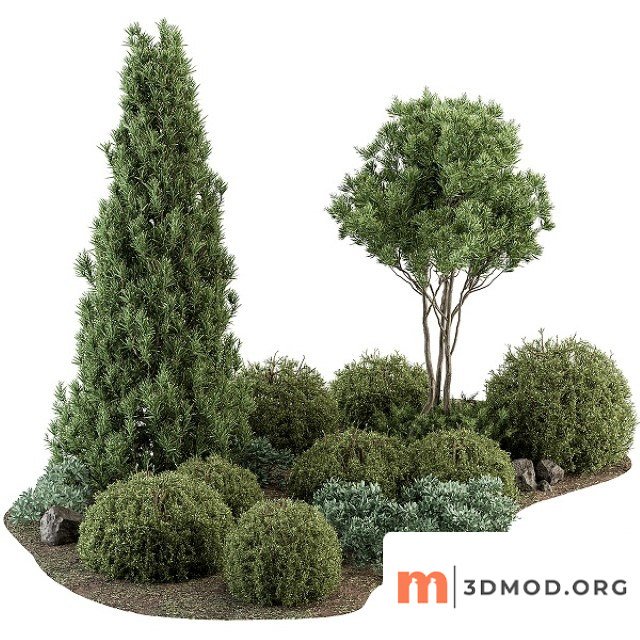 Garden Set Topiary
