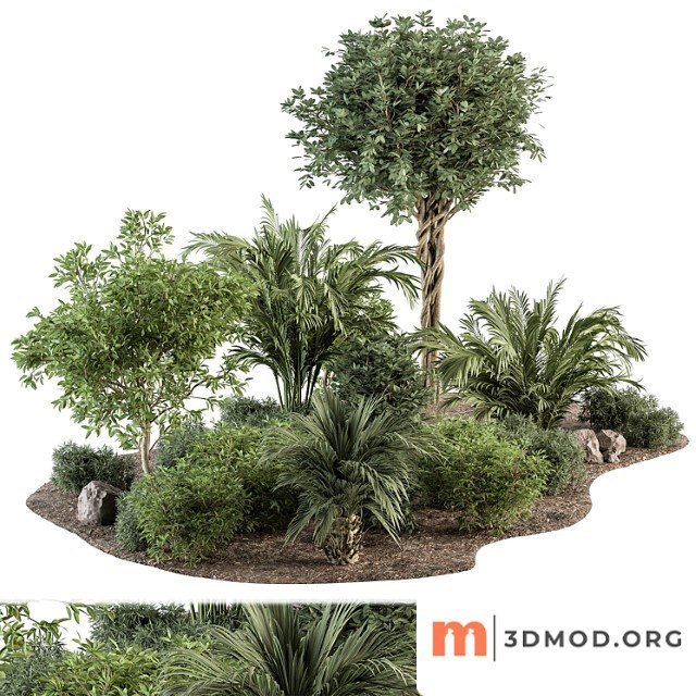 Garden plants - outdoor plants 442