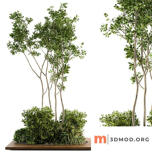 Garden set bush and tree - garden set 04