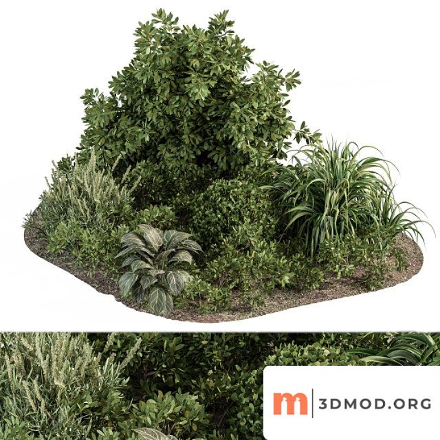 Garden set ivy and bush - garden set 20