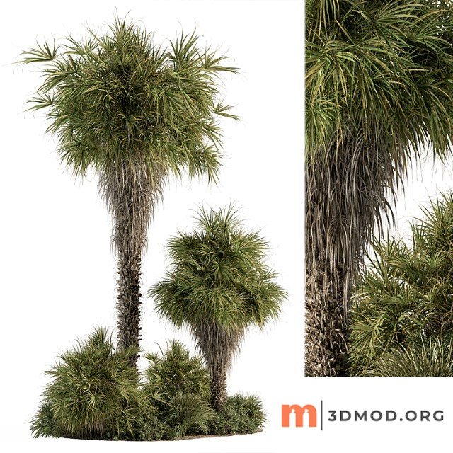 Garden set tropical plants tall palm tree - outdoor plants set 428