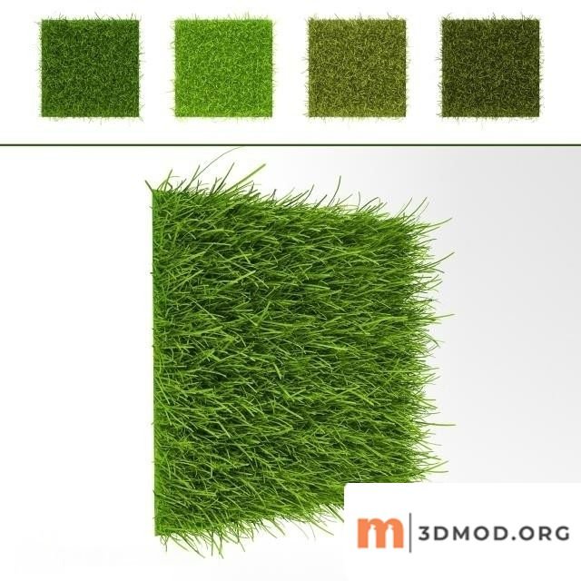 Grass Wall 7