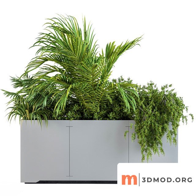 Gray Plants Box With Tropical Plant