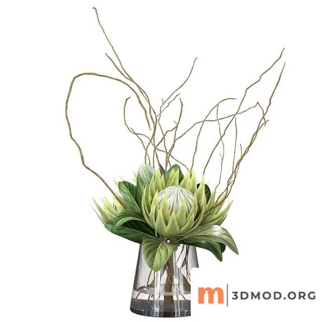 Green Bouquet With Protea