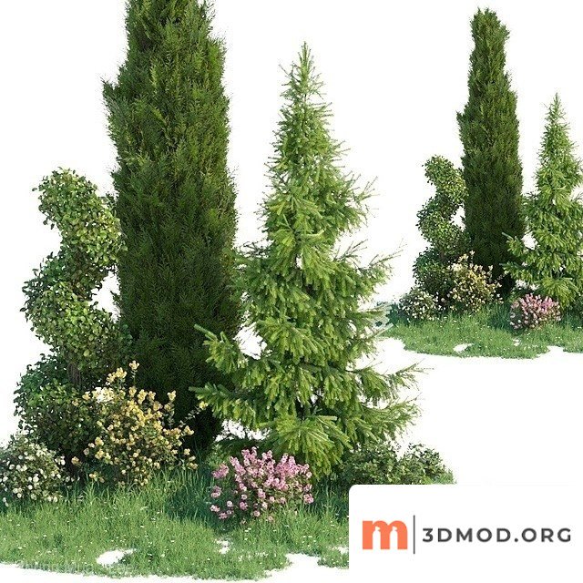 Green Coniferous Tree Set