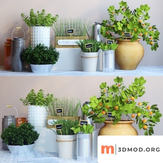 Green Plant Kitchen 4
