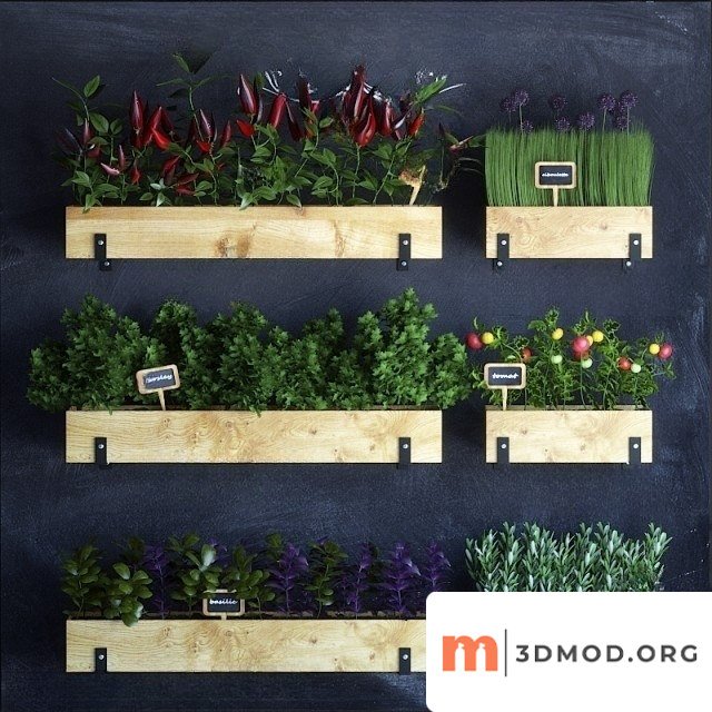 Green Plant Kitchen
