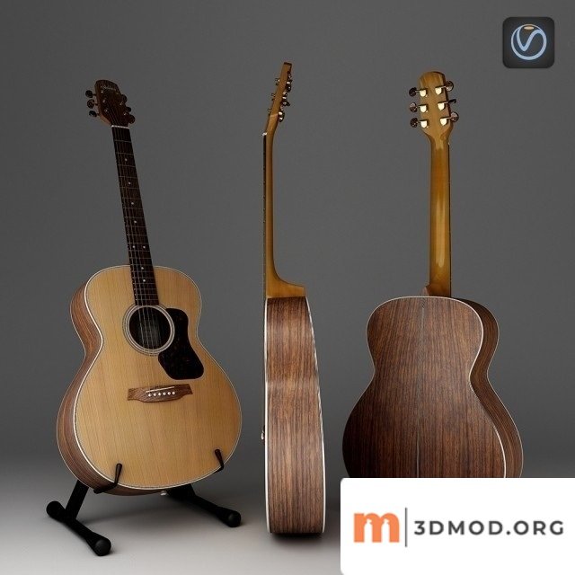 Guitar Walden Natura G730