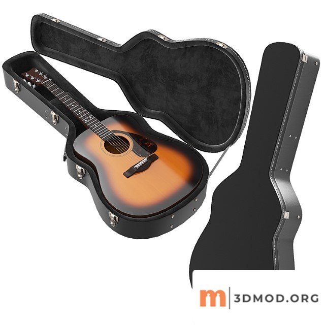 Guitar case