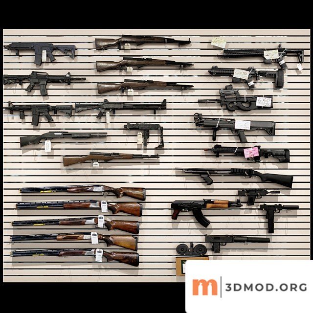 Gun store