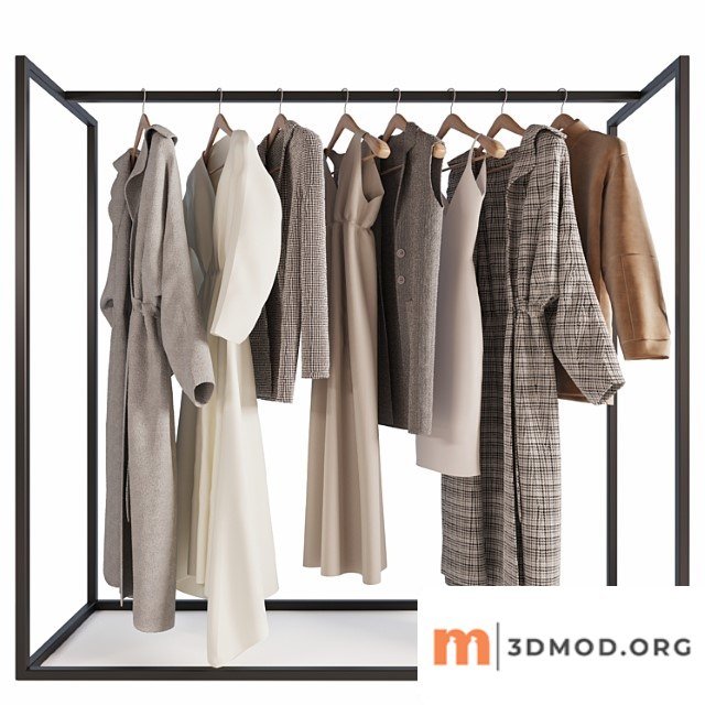 Hanger with womens clothing