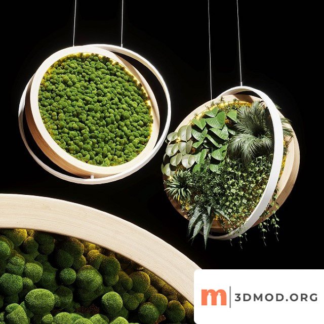 Hanging Garden and Hanging Moss in Wooden Frame 218