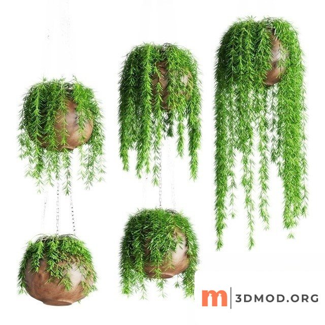 Hanging Plant Pots 2