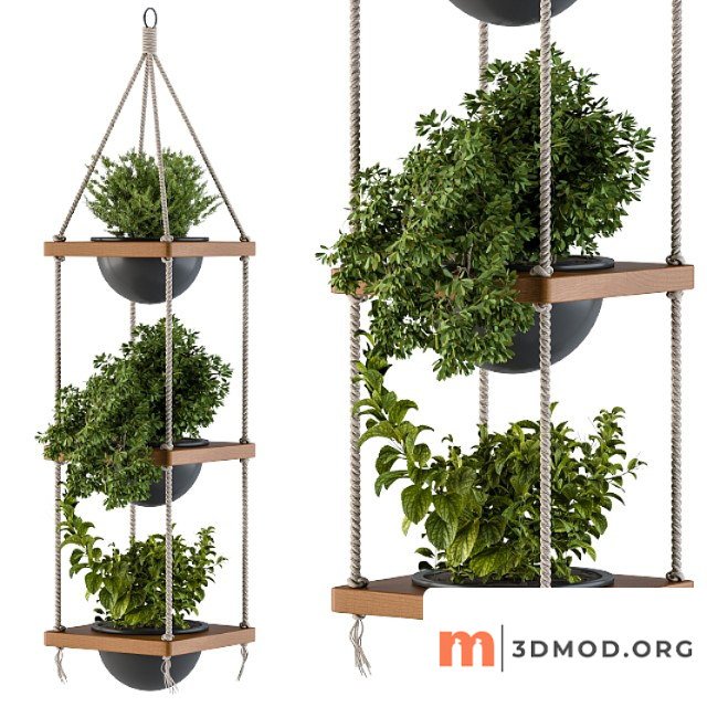 Hanging Plants Rope And Wood
