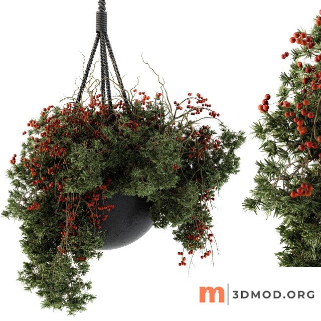 Hanging Pot Plant Set 102