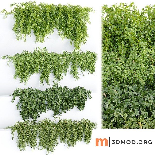 Hanging Wall Plants Collection Vol 64