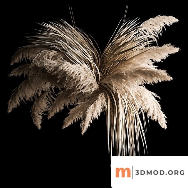 Hanging bouquet of dry reeds and pampas grass for decoration and interior. 266.